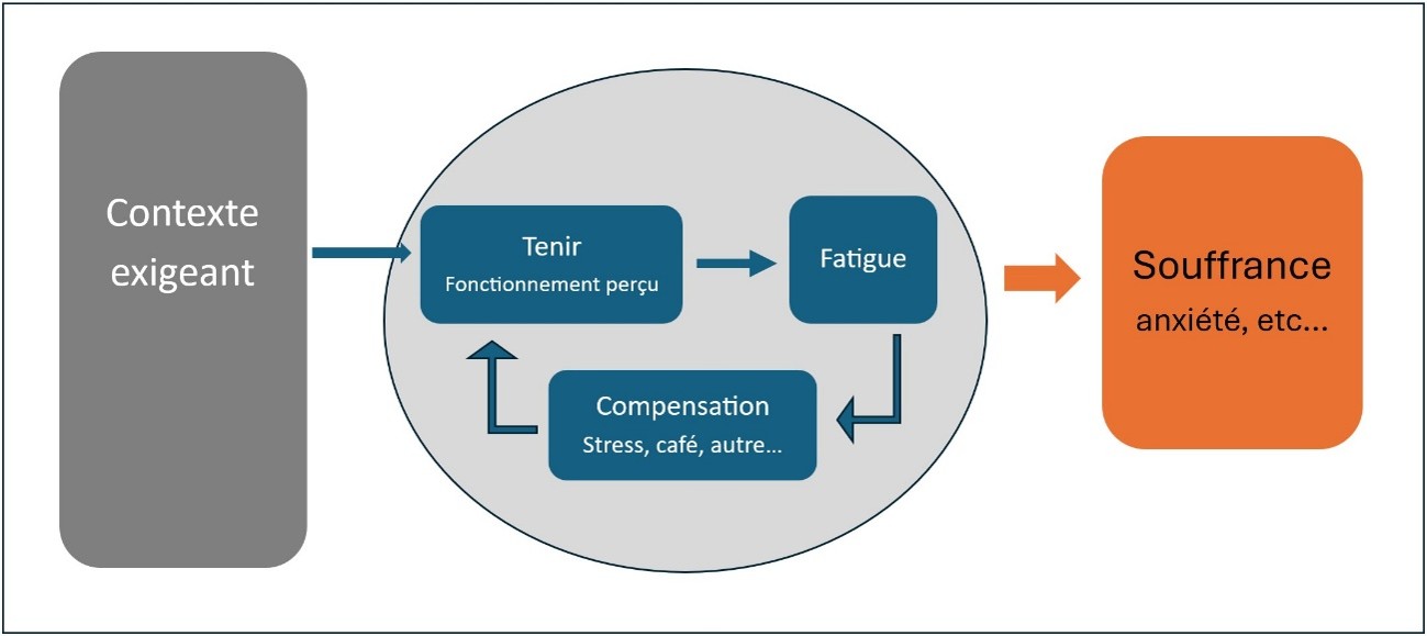 Figure 1. La dynamique compensatoire de la zone grise