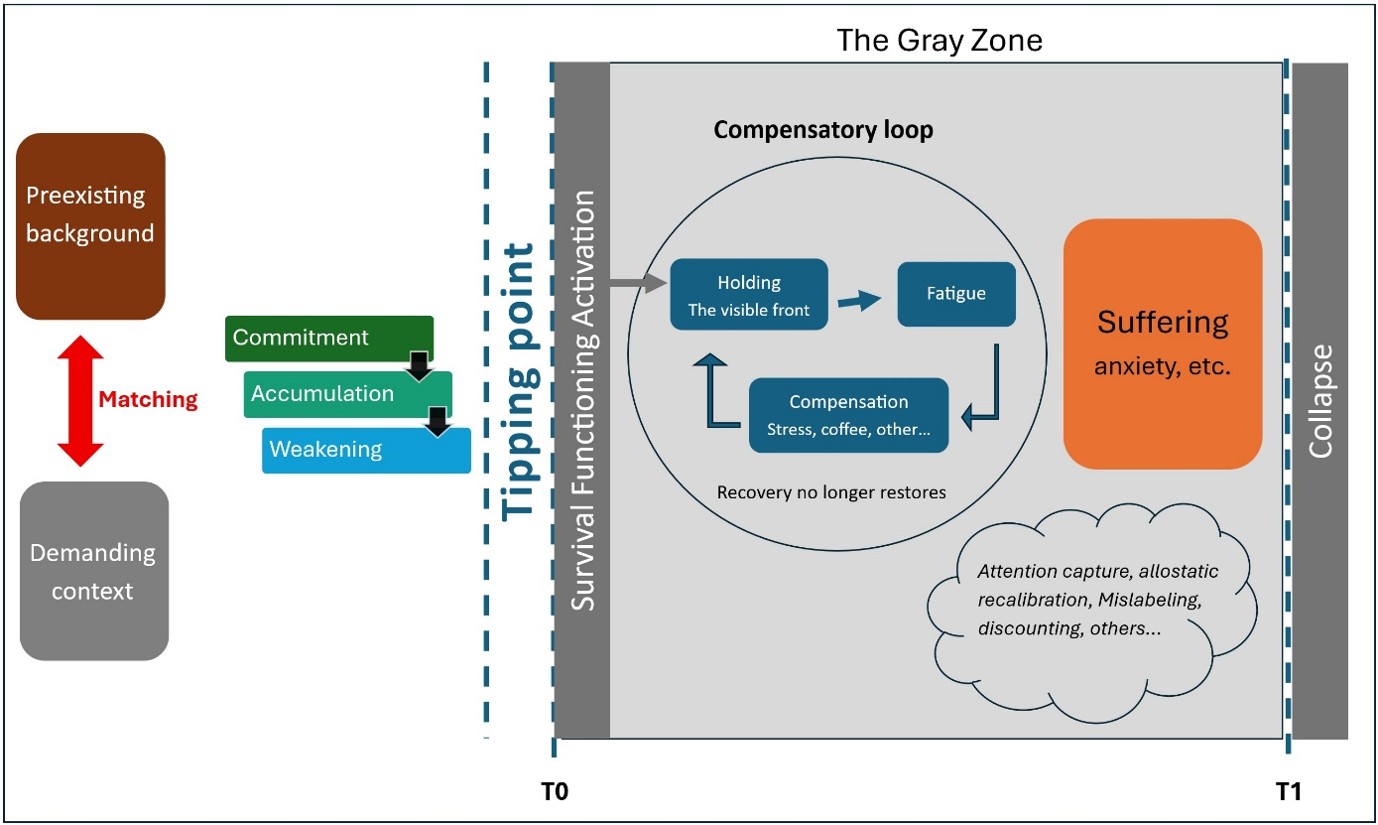 Figure 2. The complete map of the gray zone